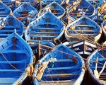 Fischerboote in Essaouira